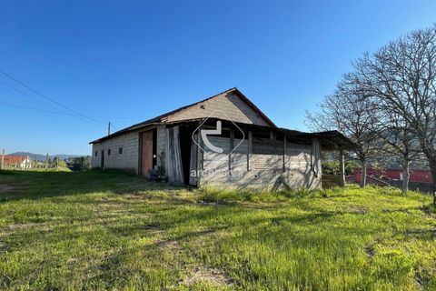 Terra a Ponte de Lima, Viana do Castelo, Ponte de Lima - € 85.000 | Ref: AV6111 - foto 3
