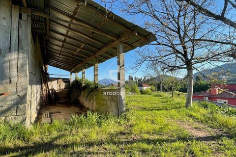 Terra a Ponte de Lima, Viana do Castelo, Ponte de Lima - € 85.000 | Ref: AV6111 - foto 5