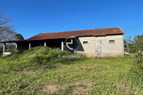 Terra a Ponte de Lima, Viana do Castelo, Ponte de Lima - € 85.000 | Ref: AV6111 - foto 6