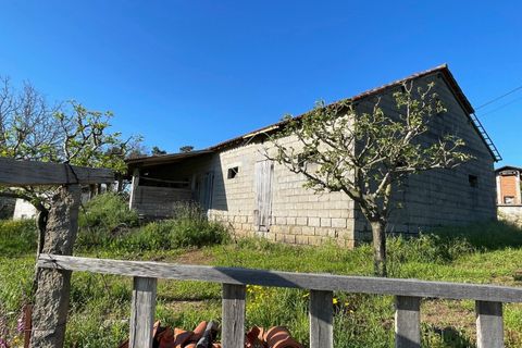 Terra a Ponte de Lima, Viana do Castelo, Ponte de Lima - € 85.000 | Ref: AV6111 - foto 7