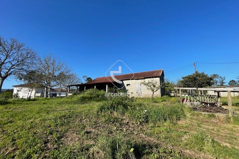 Terra a Ponte de Lima, Viana do Castelo, Ponte de Lima - € 85.000 | Ref: AV6111 - foto 8
