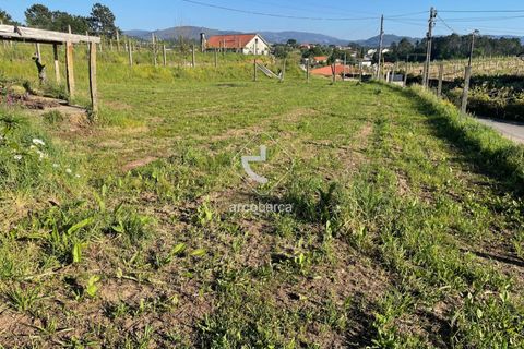 Terra a Ponte de Lima, Viana do Castelo, Ponte de Lima - € 85.000 | Ref: AV6111 - foto 9
