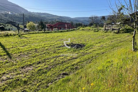 Terra a Ponte de Lima, Viana do Castelo, Ponte de Lima - € 85.000 | Ref: AV6111 - foto 10