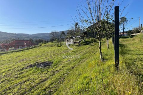 Terra a Ponte de Lima, Viana do Castelo, Ponte de Lima - € 85.000 | Ref: AV6111 - foto 11