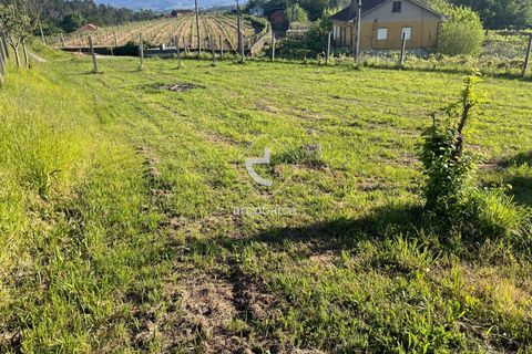 Terra a Ponte de Lima, Viana do Castelo, Ponte de Lima - € 85.000 | Ref: AV6111 - foto 12