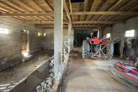 Terra a Ponte de Lima, Viana do Castelo, Ponte de Lima - € 85.000 | Ref: AV6111 - foto 18