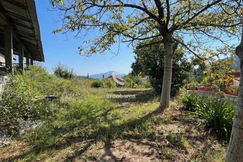 Terra a Ponte de Lima, Viana do Castelo, Ponte de Lima - € 85.000 | Ref: AV6111 - foto 24
