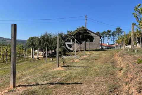Terra a Ponte de Lima, Viana do Castelo, Ponte de Lima - € 85.000 | Ref: AV6111 - foto 26