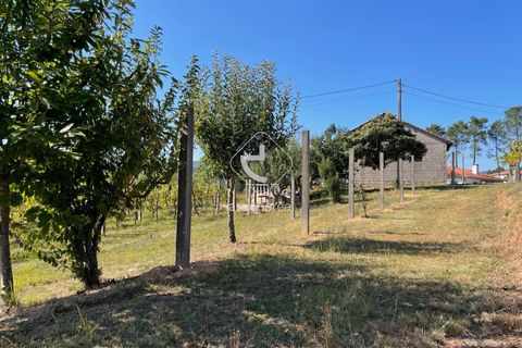 Terra a Ponte de Lima, Viana do Castelo, Ponte de Lima - € 85.000 | Ref: AV6111 - foto 27