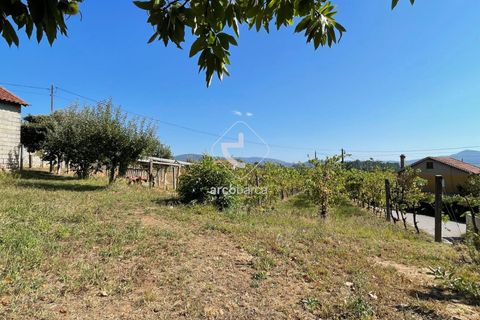 Terra a Ponte de Lima, Viana do Castelo, Ponte de Lima - € 85.000 | Ref: AV6111 - foto 28