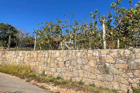 Terra a Ponte de Lima, Viana do Castelo, Ponte de Lima - € 85.000 | Ref: AV6111 - foto 38
