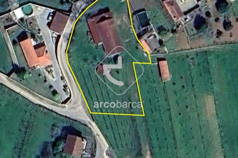 Terra a Ponte de Lima, Viana do Castelo, Ponte de Lima - € 85.000 | Ref: AV6111 - foto 41