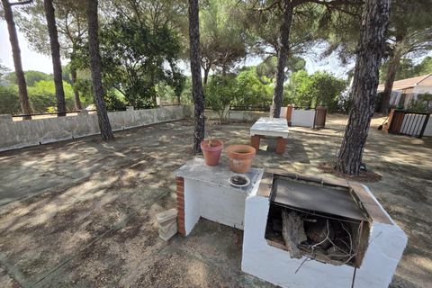 Landejendom i Beas, Huelva, Beas - € 175.000 | Ref: TT00236/10764 - foto 2