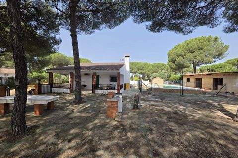 Landejendom i Beas, Huelva, Beas - € 175.000 | Ref: TT00236/10764 - foto 3