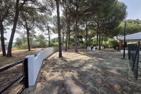 Landejendom i Beas, Huelva, Beas - € 175.000 | Ref: TT00236/10764 - foto 4