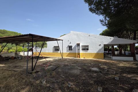 Landejendom i Beas, Huelva, Beas - € 175.000 | Ref: TT00236/10764 - foto 5