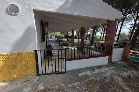 Landejendom i Beas, Huelva, Beas - € 175.000 | Ref: TT00236/10764 - foto 7