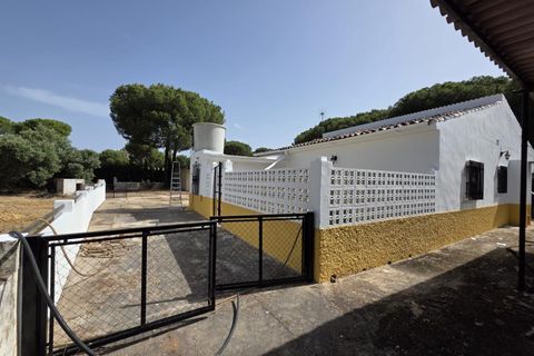Landejendom i Beas, Huelva, Beas - € 175.000 | Ref: TT00236/10764 - foto 8