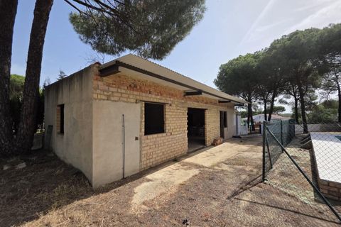 Landejendom i Beas, Huelva, Beas - € 175.000 | Ref: TT00236/10764 - foto 12