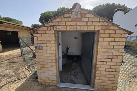 Landejendom i Beas, Huelva, Beas - € 175.000 | Ref: TT00236/10764 - foto 13