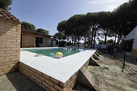 Landejendom i Beas, Huelva, Beas - € 175.000 | Ref: TT00236/10764 - foto 14