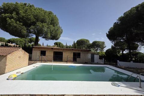Landejendom i Beas, Huelva, Beas - € 175.000 | Ref: TT00236/10764 - foto 15
