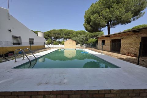 Landejendom i Beas, Huelva, Beas - € 175.000 | Ref: TT00236/10764 - foto 16