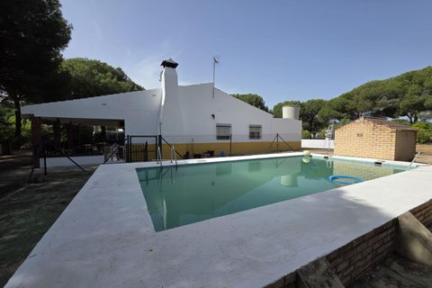 Landejendom i Beas, Huelva, Beas - € 175.000 | Ref: TT00236/10764 - foto 17