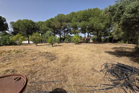 Landejendom i Beas, Huelva, Beas - € 175.000 | Ref: TT00236/10764 - foto 19