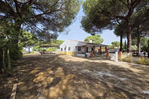 Landejendom i Beas, Huelva, Beas - € 175.000 | Ref: TT00236/10764 - foto 21
