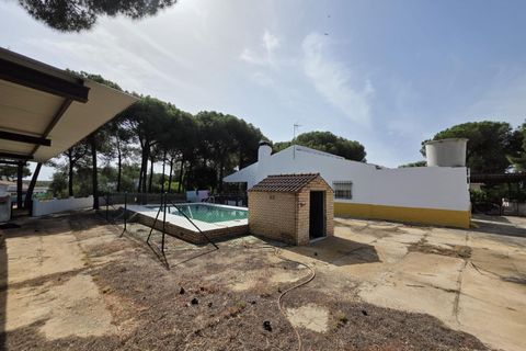 Landejendom i Beas, Huelva, Beas - € 175.000 | Ref: TT00236/10764 - foto 22