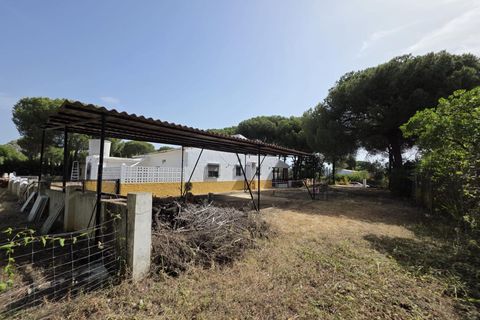 Landejendom i Beas, Huelva, Beas - € 175.000 | Ref: TT00236/10764 - foto 23