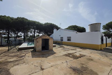 Landejendom i Beas, Huelva, Beas - € 175.000 | Ref: TT00236/10764 - foto 24