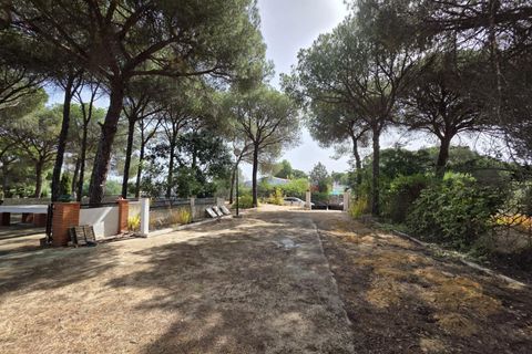 Landejendom i Beas, Huelva, Beas - € 175.000 | Ref: TT00236/10764 - foto 25