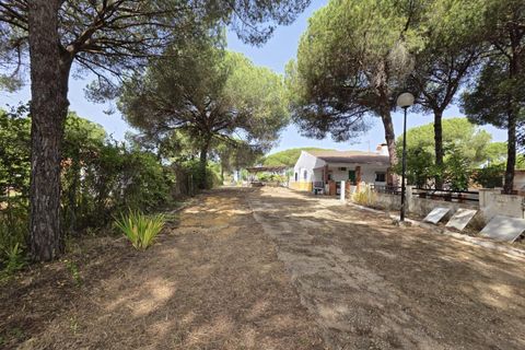 Landejendom i Beas, Huelva, Beas - € 175.000 | Ref: TT00236/10764 - foto 26