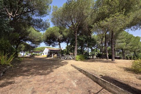 Landejendom i Beas, Huelva, Beas - € 175.000 | Ref: TT00236/10764 - foto 27