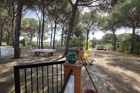 Landejendom i Beas, Huelva, Beas - € 175.000 | Ref: TT00236/10764 - foto 29