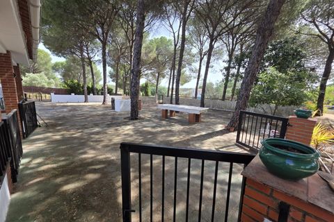 Landejendom i Beas, Huelva, Beas - € 175.000 | Ref: TT00236/10764 - foto 31
