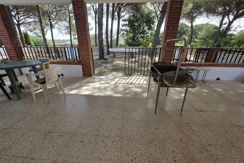 Landejendom i Beas, Huelva, Beas - € 175.000 | Ref: TT00236/10764 - foto 32