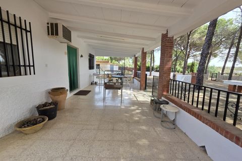 Landejendom i Beas, Huelva, Beas - € 175.000 | Ref: TT00236/10764 - foto 33