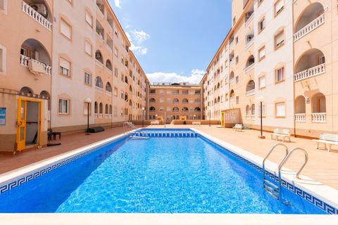 Studio i Torrevieja, Alicante, Torrevieja - € 99 900 | Ref: 21-MR39/776 - foto 14