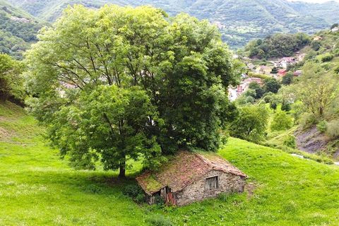 Herregård i Aller, Asturias, Aller - € 30 000 | Ref: QPE00408/10606 - foto 2