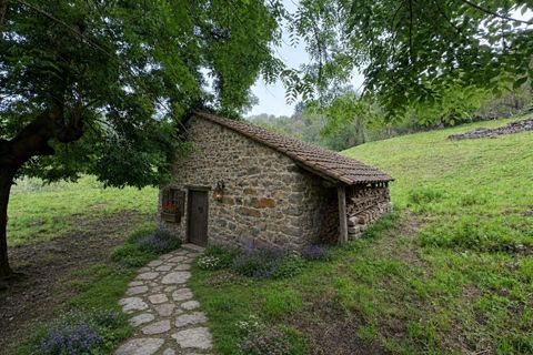 Herregård i Aller, Asturias, Aller - € 30 000 | Ref: QPE00408/10606 - foto 4
