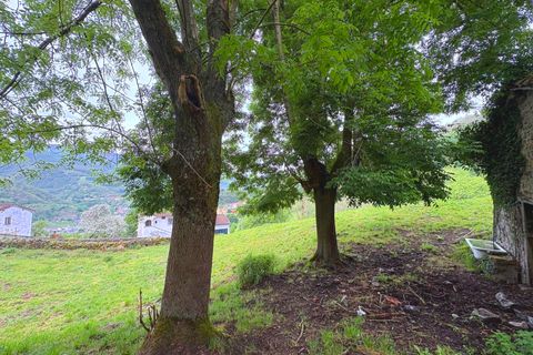 Herregård i Aller, Asturias, Aller - € 30 000 | Ref: QPE00408/10606 - foto 6