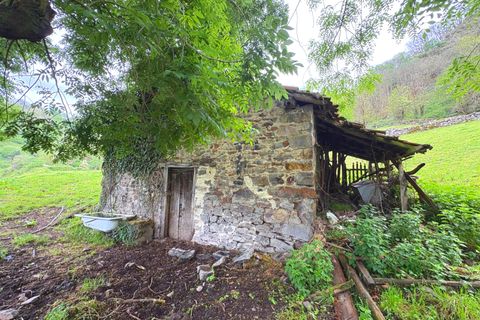 Herregård i Aller, Asturias, Aller - € 30 000 | Ref: QPE00408/10606 - foto 8