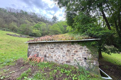Herregård i Aller, Asturias, Aller - € 30 000 | Ref: QPE00408/10606 - foto 9