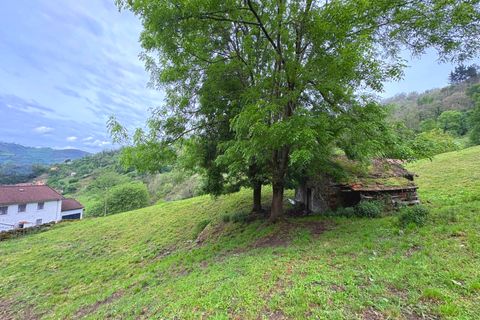 Herregård i Aller, Asturias, Aller - € 30 000 | Ref: QPE00408/10606 - foto 12