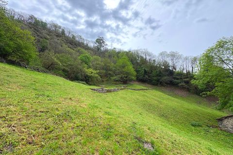 Herregård i Aller, Asturias, Aller - € 30 000 | Ref: QPE00408/10606 - foto 13
