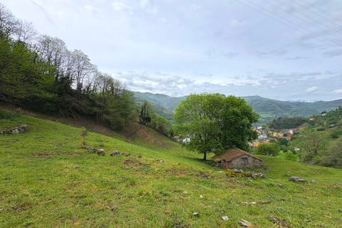 Herregård i Aller, Asturias, Aller - € 30 000 | Ref: QPE00408/10606 - foto 16