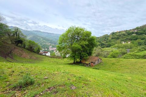 Herregård i Aller, Asturias, Aller - € 30 000 | Ref: QPE00408/10606 - foto 17